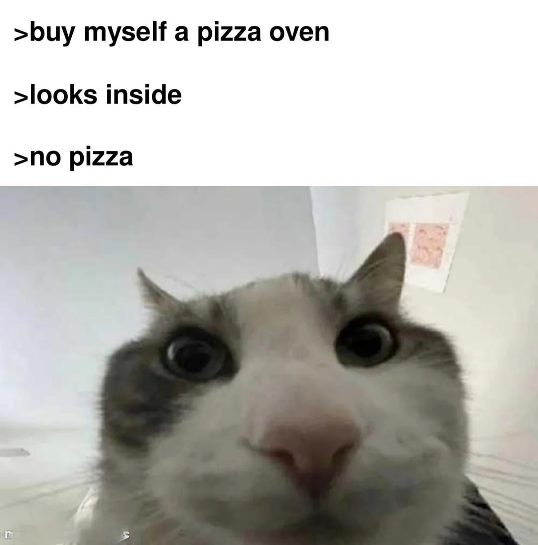 >buy myself.a pizza oven >looks inside >buy myself.a pizza oven >looks inside >no pizza